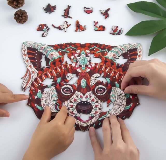 Libérez le plaisir avec les puzzles de raton laveur 66e3fe8553b34