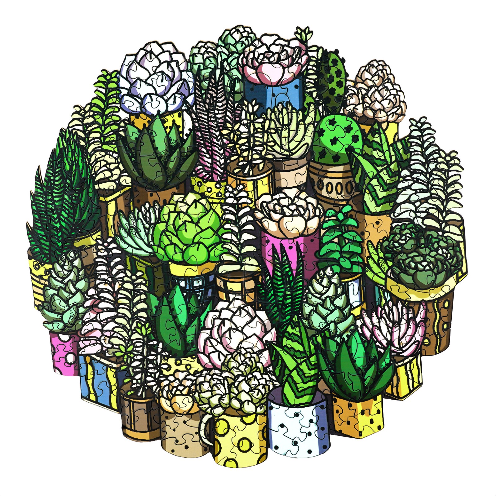 Puzzle en bois – PLANTE SUCCULENTE 66d9c384b0016